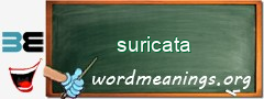 WordMeaning blackboard for suricata